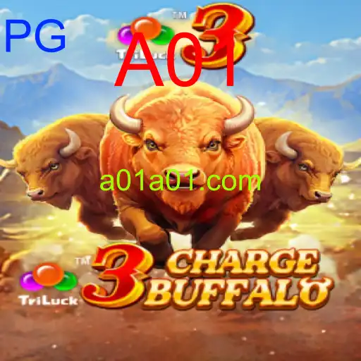 3ChargeBuffalo